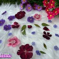 Flores 4
